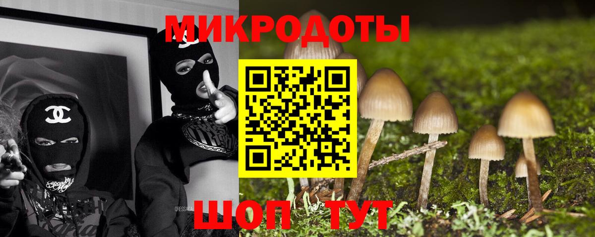 что такое   Вход с VPN  Саянск  Галлюциногенные грибы Cubensis 